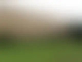 Szkoła w Pawłosiowie ponownie z Krajowym Certyfikatem Szkoły Promującej Zdrowie