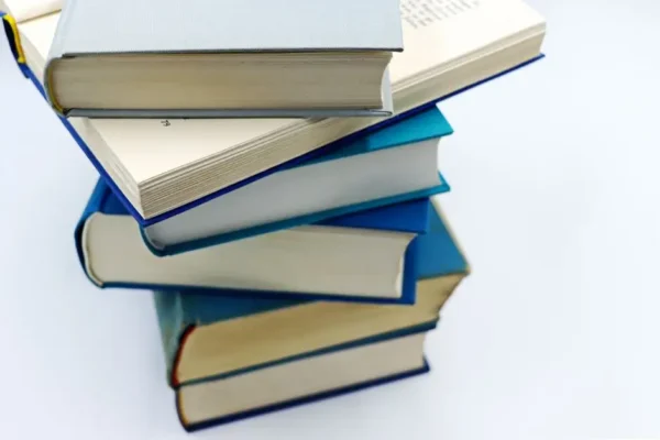 Gminny Konkurs Literacki w Chłopicach rozstrzygnięty – znamy laureatów!